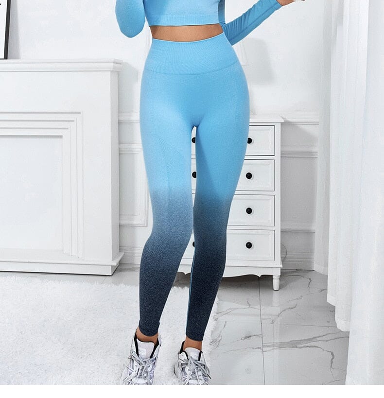 AW DUALTONE SEAMLESS HIGH WAIST LEGGING | Alpha Wolf Official Store